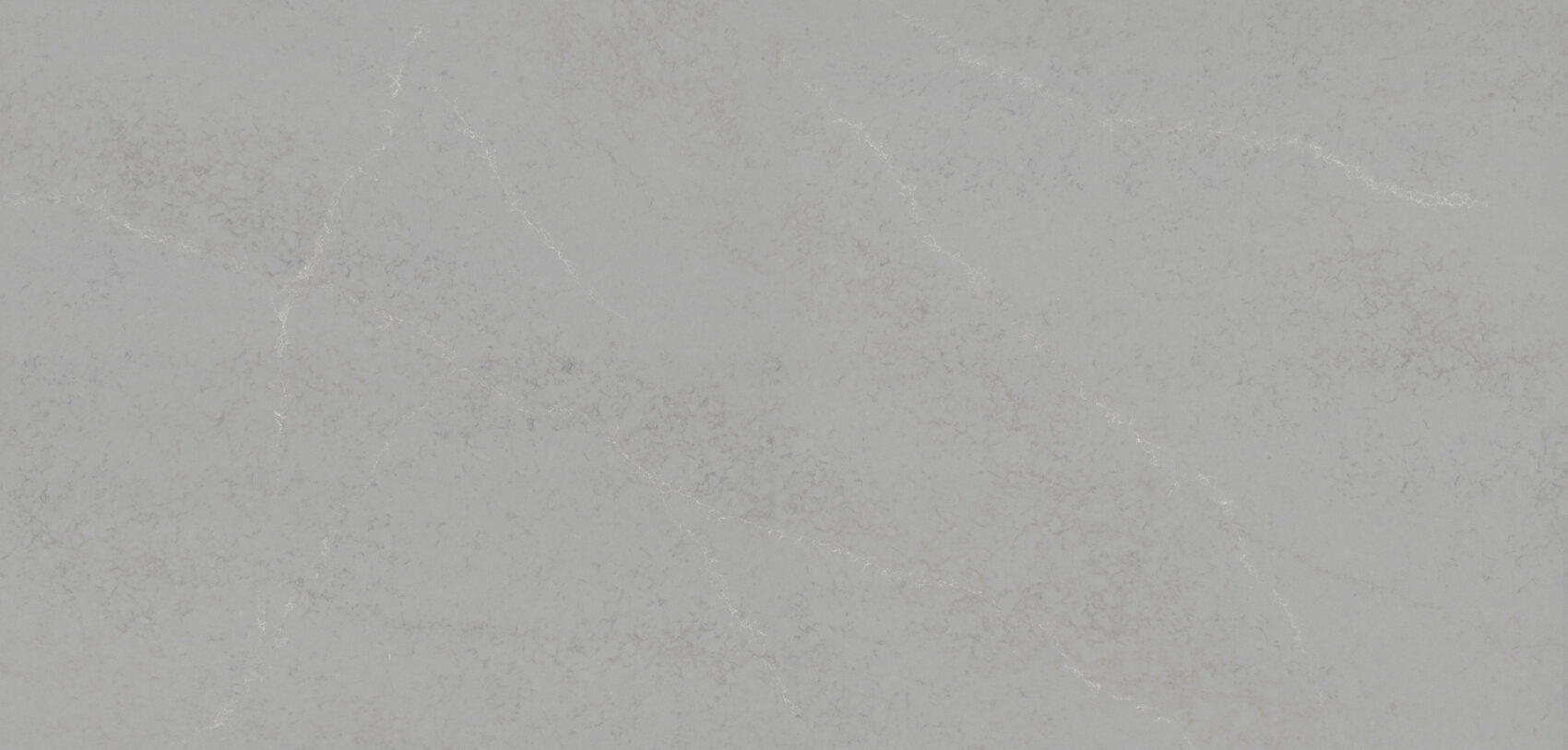 TechniStone Badal Grey — raw slab